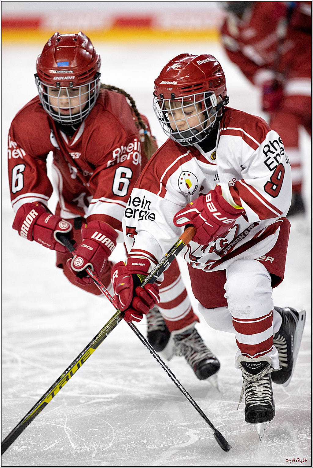 PENNY DEL;  Koelner Haie - Junghaie U9; Koeln, 18.03.2022